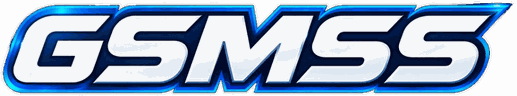 GSMSS Demo Store logo